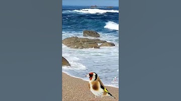 القران الكريم بصوت #الشيخ # ماشاءالله تبارك الله #