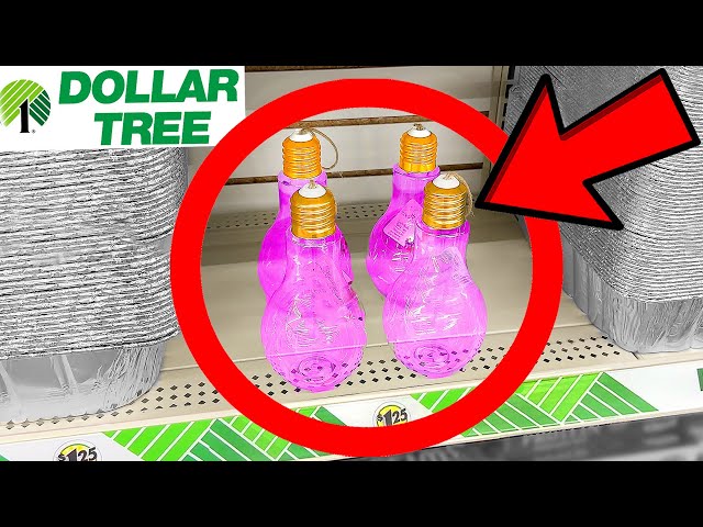 25 ITEMS YOU NEED TO BUY AT DOLLAR TREE OCTOBER 2022