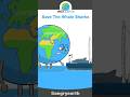 Save The Whale Sharks #shorts
