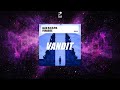 Alex M.O.R.P.H. - Paradise (Extended Mix) [VANDIT RECORDS]