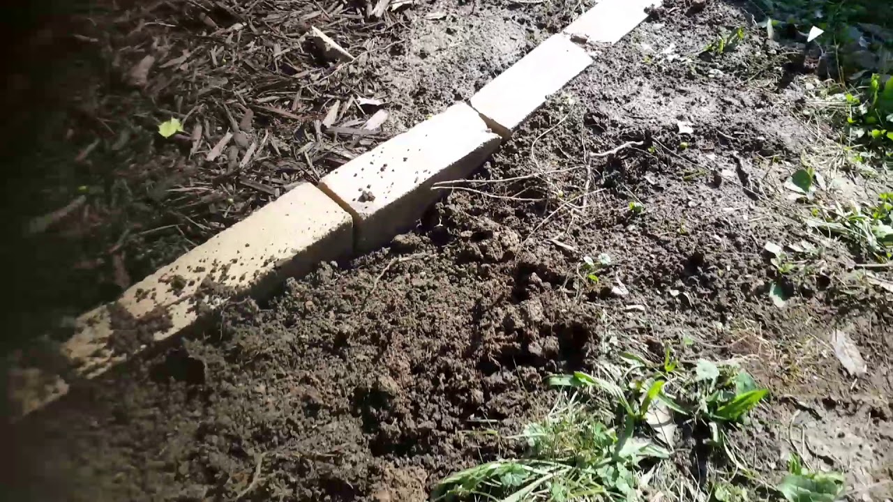 Simple garden border with common bricks - YouTube