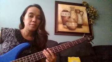 Lay Me Down (Bass Cover)