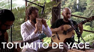 Video thumbnail of "José León Lanau - Totumito de Yagé"