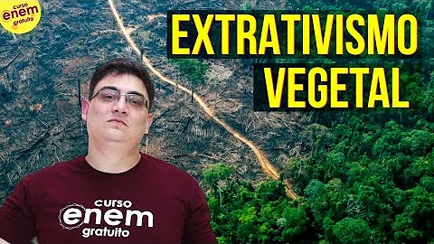 Quais são os principais produtos do extrativismo?