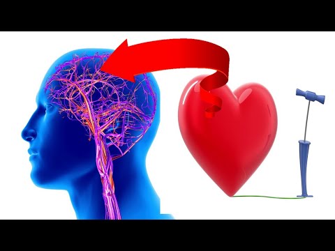 11 Amazing Natural Ways To Boost Blood Circulation To The Brain & Heart