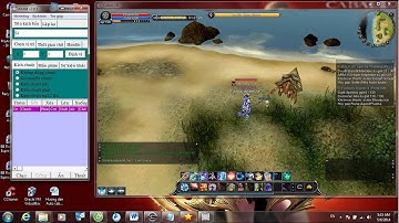 Hướng dẫn auto cabalCik Bằng autoclick 2.2 và ProAkam