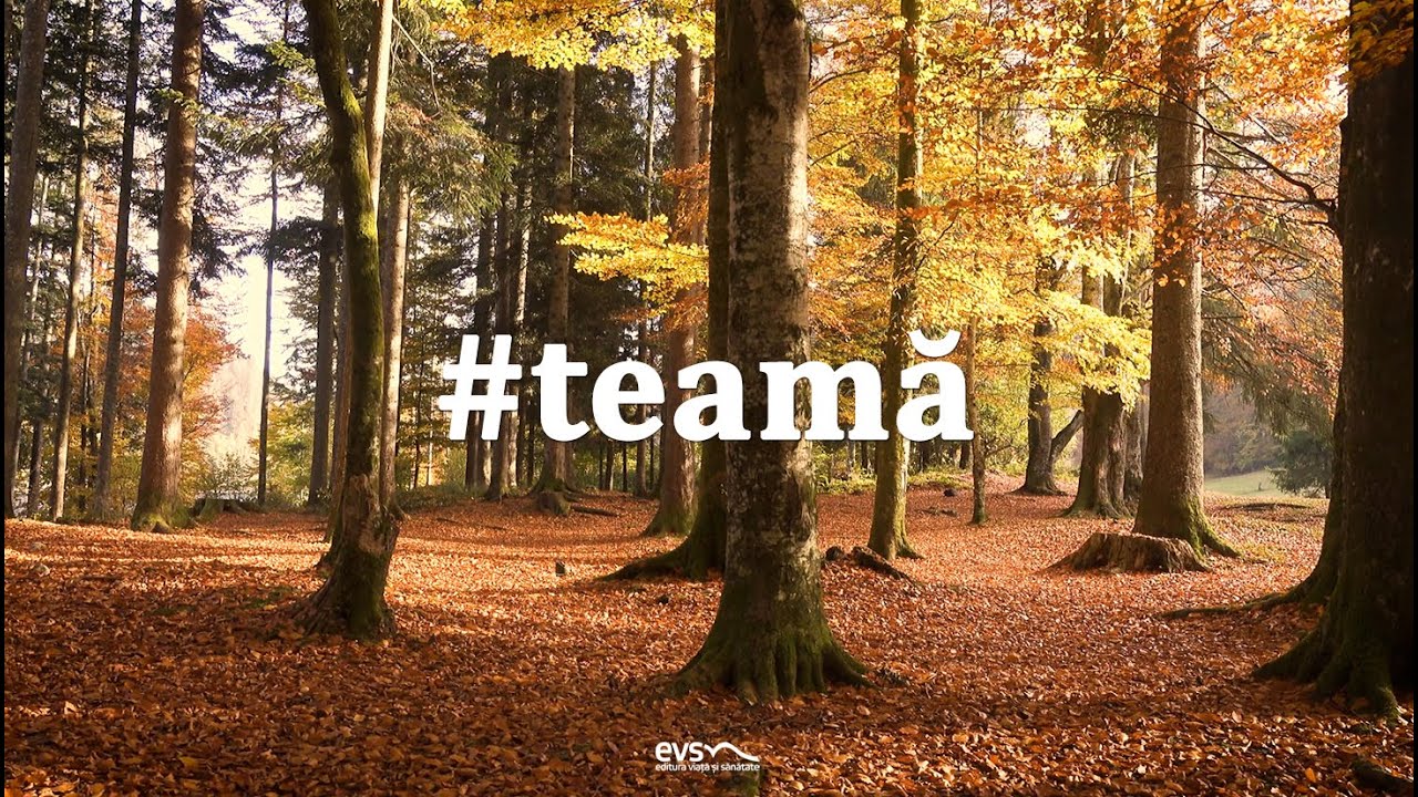 Teamă