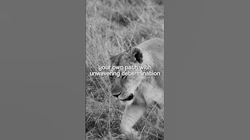 Lions don’t follow the crowd.