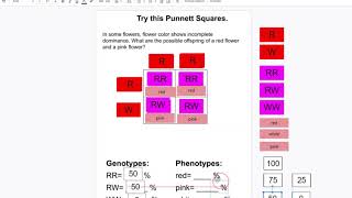 genetics interactive notes