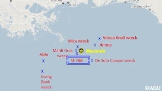 Gulf of Mexico historic shipwrecks help scientists unlock mysteries of deep-sea ecosystems