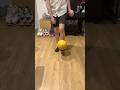 Dribbling | #football #trick #edit #makethisgoviral #fyp