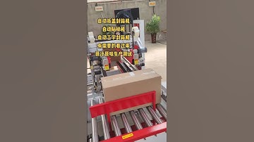 Automatic H format carton sealing machine with labeler