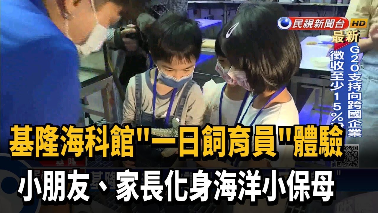 基隆海科館 一日飼育員 體驗小朋友 家長化身海洋小保母 民視新聞網