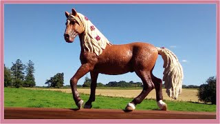 Ella's Schleich Slideshow - Don't Let Me Down