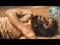 Monkey man explained in manipuri  actionthriller movie explained in manipuri