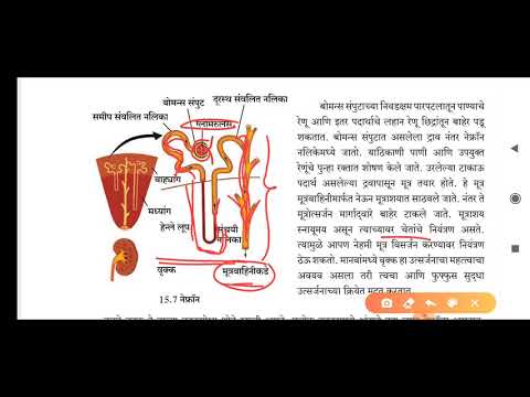 इंद्रिय संस्था , उत्सर्जन संस्था आणि चेता संस्था , अंतःस्रावी ग्रंथी. स्टेट बोर्ड,क्लास ९