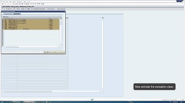 Using Exception Classes in ABAP