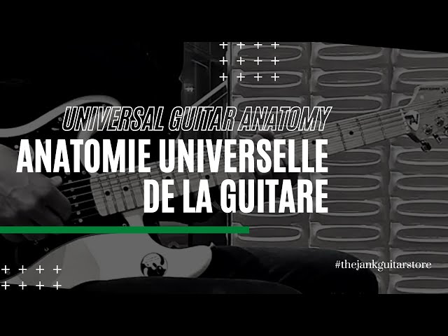 Anatomie De La Guitare Acoustique