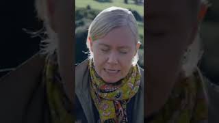 A Confession of Love | Birches Movie
