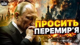 Путін просить перемир'я! Конфіскація російських активів. Мобілізація засуджених / Малюська