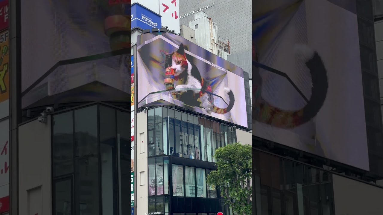 Digital Cat in Japan 