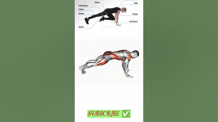 mountain climber exercise| mountain climbers| #fitness #exercise#homeexercise #workout#short#shorts