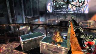 Call of Duty Black Ops Scary Zombie BUG