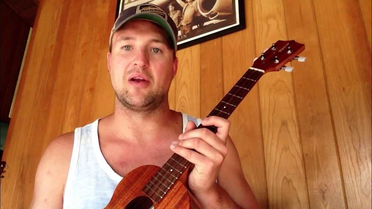 Ukulele Comparison Cheap vs. Expensive YouTube