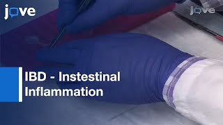 Investigating Inflammation in Inflammatory Bowel Disease (IBD) screenshot 1