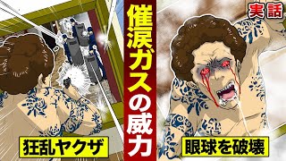 【実話】催涙ガスの威力。銃を乱射するヤクザが…大号泣する。