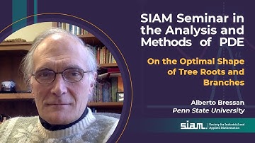 Seminar In the Analysis and Methods of PDE (SIAM PDE): Alberto Bressan