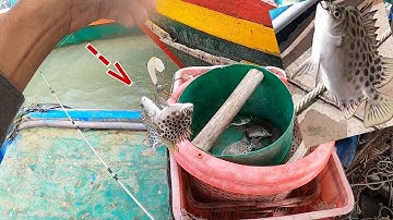 ngày thứ hai Câu cá ở biển Lộc An | nghĩa tình TV