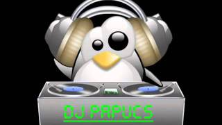 Dj Papucs : Guru josh project infinity remix