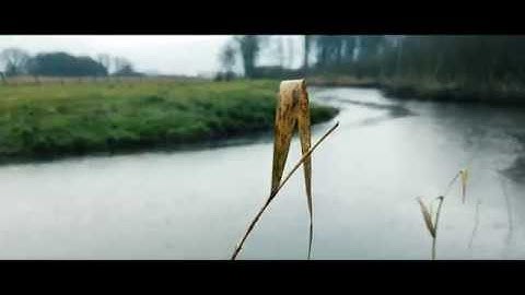 Smooth Q Gimbal, quick test on Iphone 8 / 4K 30fps