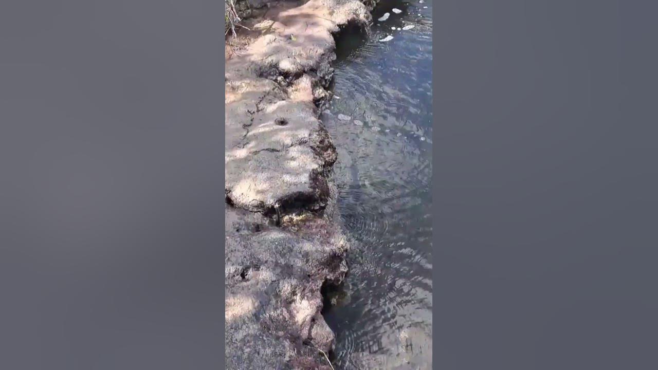 waterfall florida keys YouTube