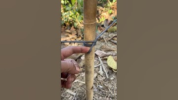 WOW…effective & holds tightly!