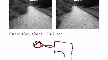 Bags of Binary Words for Fast Place Recognition in Image Sequences (NewCollege)