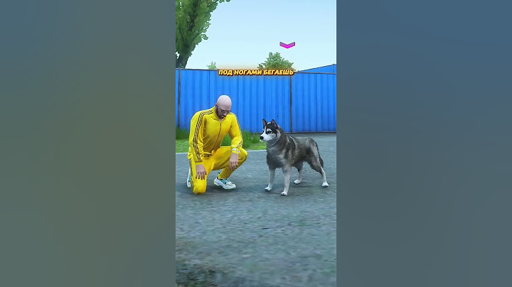 ЭТА СОБАКА ПОМОГЛА МНЕ СПАСТИ ДЕВОЧКУ В ГТА 5 (GTA 5 RMRP / Криминальная Москва)