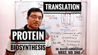 6. Protein Biosynthesis (Translation in Eukaryote- New)