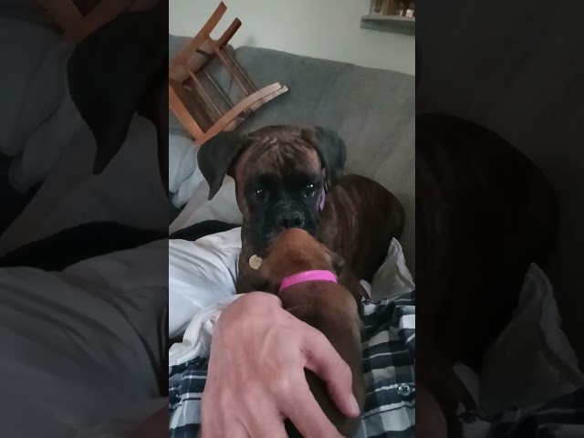 Portée de Salsa 2024-09-19