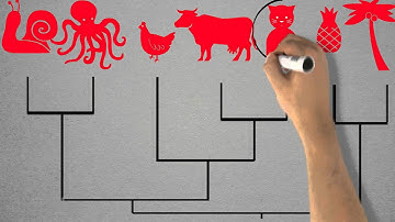 Tree thinking, part 1