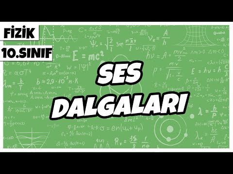 10.Sınıf Fizik - Ses Dalgaları | 2022