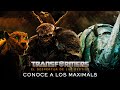 #Transformers: El despertar de las bestias | Conoce a los Maximals | ¡Ya en cines!