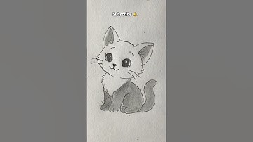 How to draw a cat #cat #pencildrawing #shorts #viral