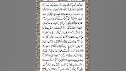 القارئ محمد صديق المنشاوي سوره النساء من ايه 45 الى ايه 51