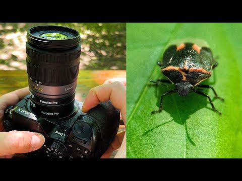 Micro Four Thirds