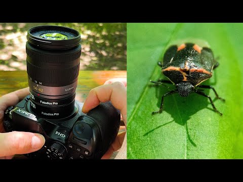 Micro Four Thirds Macro: Auto Macro Tubes for MFT Cameras