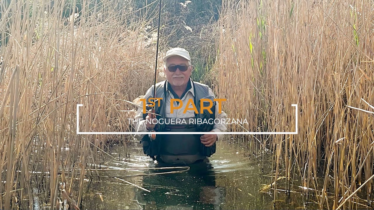 The Noguera Ribagorzana spanish river of catalonia