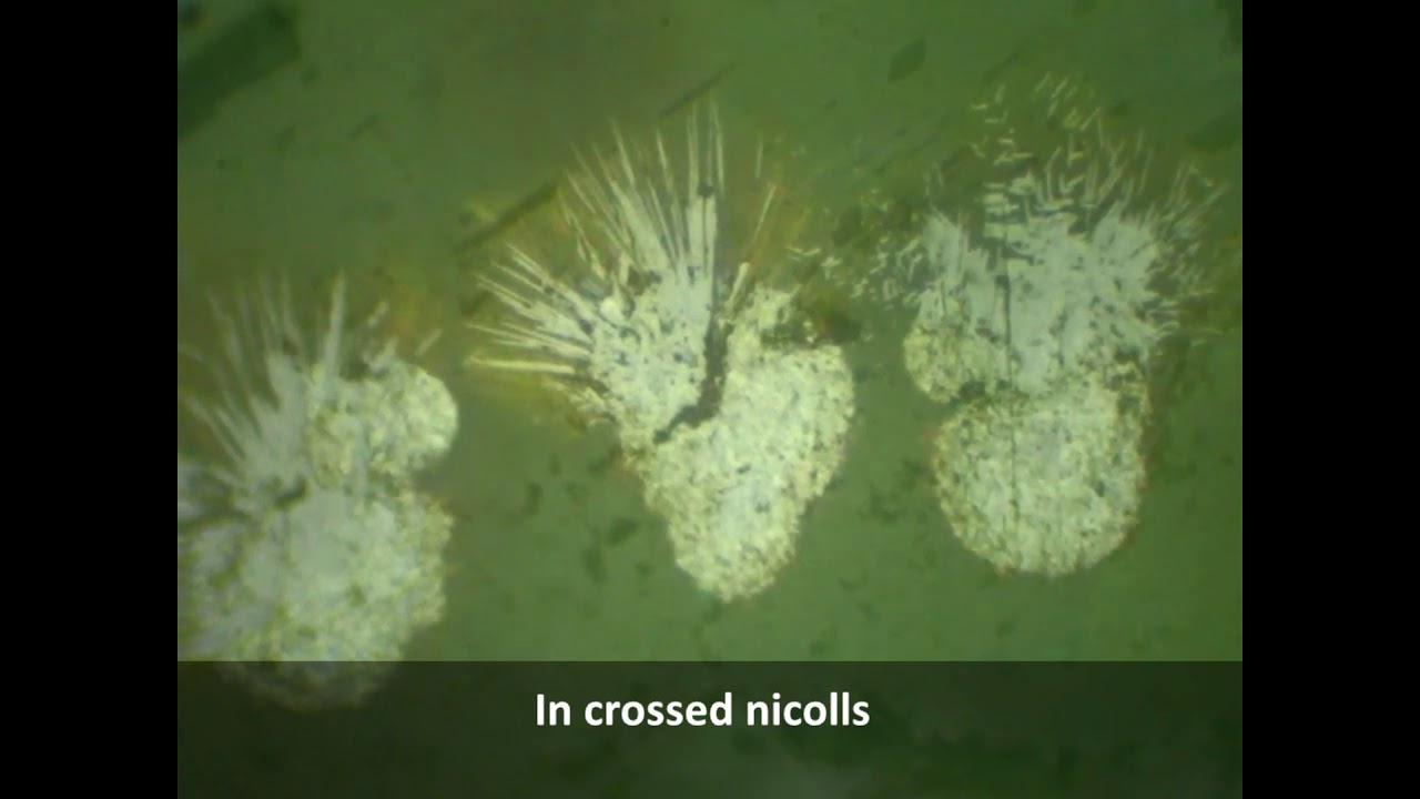 Goethite with Calcite Ore | TSA