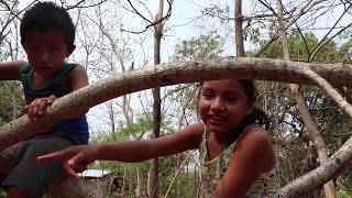 CO-CREANDO RESILIENCIA: Experiencia de organización comunitaria a dos años del sismo by BioReconstruye Chiapas 186 views 4 years ago 30 minutes